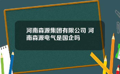河南森源集团有限公司 河南森源电气是国企吗