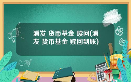 浦发 货币基金 赎回(浦发 货币基金 赎回到账)
