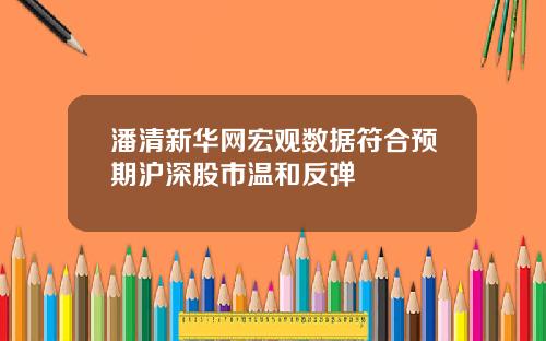 潘清新华网宏观数据符合预期沪深股市温和反弹