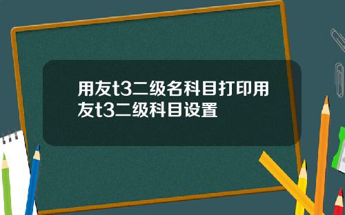 用友t3二级名科目打印用友t3二级科目设置