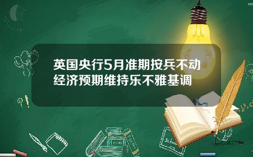 英国央行5月准期按兵不动经济预期维持乐不雅基调