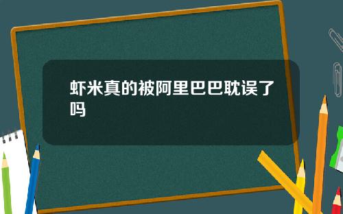 虾米真的被阿里巴巴耽误了吗