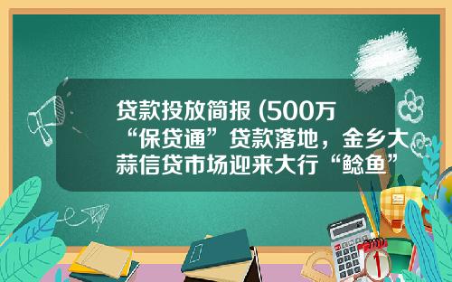 贷款投放简报 (500万“保贷通”贷款落地，金乡大蒜信贷市场迎来大行“鲶鱼”)_1