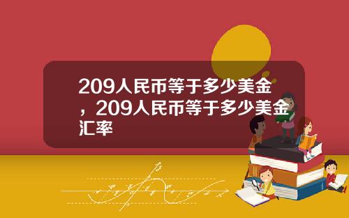 209人民币等于多少美金，209人民币等于多少美金汇率
