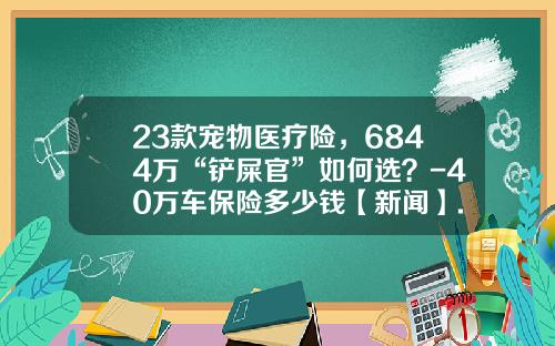23款宠物医疗险，6844万“铲屎官”如何选？-40万车保险多少钱【新闻】.