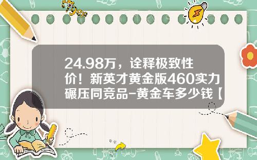 24.98万，诠释极致性价！新英才黄金版460实力碾压同竞品-黄金车多少钱【新闻】.