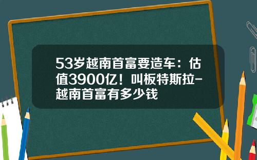 53岁越南首富要造车：估值3900亿！叫板特斯拉-越南首富有多少钱