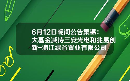 6月12日晚间公告集锦：大基金减持三安光电和兆易创新-浦江绿谷置业有限公司