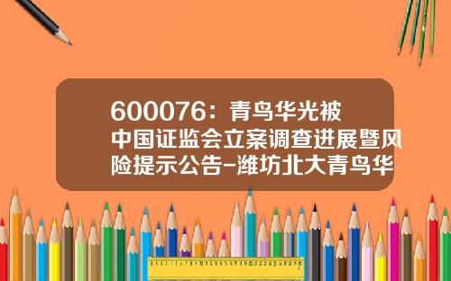 600076：青鸟华光被中国证监会立案调查进展暨风险提示公告-潍坊北大青鸟华光科技股份有限公司07审计
