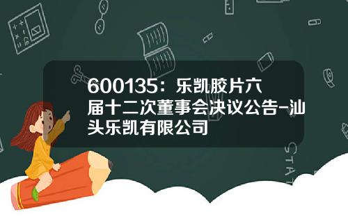 600135：乐凯胶片六届十二次董事会决议公告-汕头乐凯有限公司