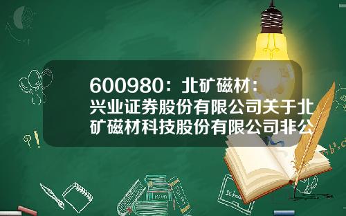 600980：北矿磁材：兴业证券股份有限公司关于北矿磁材科技股份有限公司非公开发行股份的上市保荐书-北矿磁材科技股份有限公司
