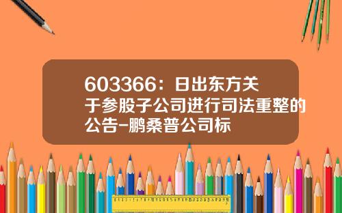 603366：日出东方关于参股子公司进行司法重整的公告-鹏桑普公司标