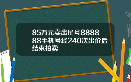 85万元卖出尾号888888手机号经240次出价后结束拍卖