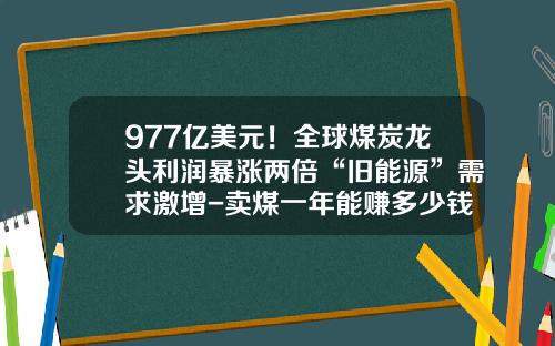 977亿美元！全球煤炭龙头利润暴涨两倍“旧能源”需求激增-卖煤一年能赚多少钱