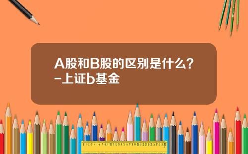 A股和B股的区别是什么？-上证b基金