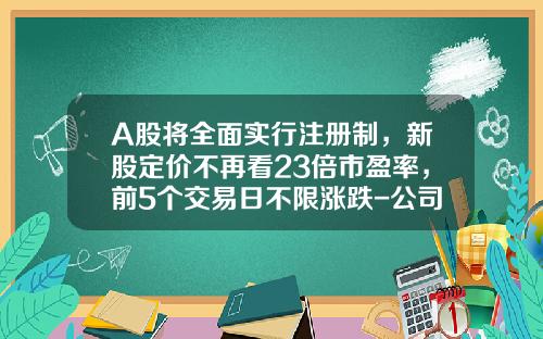 A股将全面实行注册制，新股定价不再看23倍市盈率，前5个交易日不限涨跌-公司上市内部能保留多少股份