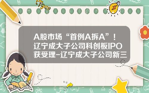 A股市场“首例A拆A”！辽宁成大子公司科创板IPO获受理-辽宁成大子公司新三板挂牌
