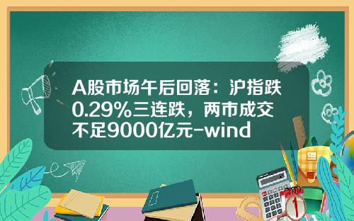 A股市场午后回落：沪指跌0.29%三连跌，两市成交不足9000亿元-wind股票市场资讯