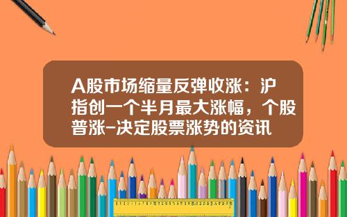A股市场缩量反弹收涨：沪指创一个半月最大涨幅，个股普涨-决定股票涨势的资讯