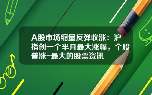 A股市场缩量反弹收涨：沪指创一个半月最大涨幅，个股普涨-最大的股票资讯