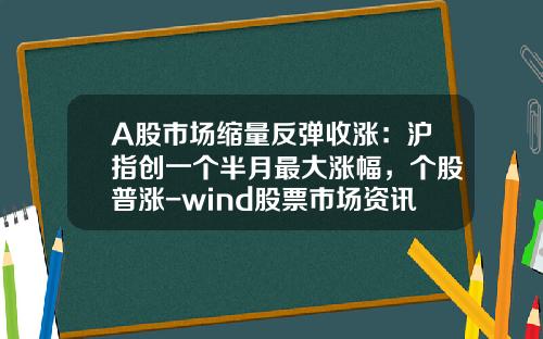 A股市场缩量反弹收涨：沪指创一个半月最大涨幅，个股普涨-wind股票市场资讯