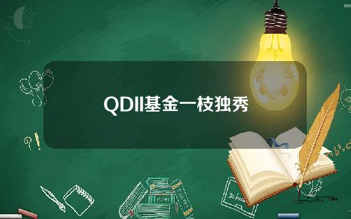 QDII基金一枝独秀