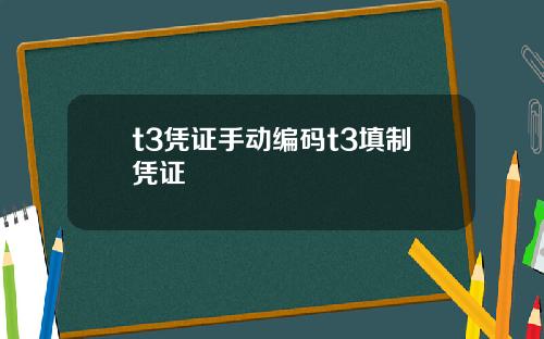 t3凭证手动编码t3填制凭证