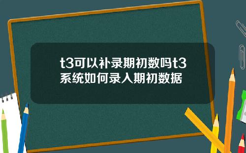 t3可以补录期初数吗t3系统如何录入期初数据