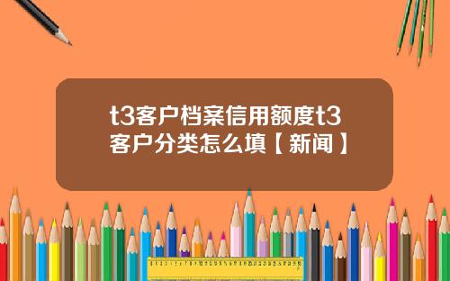 t3客户档案信用额度t3客户分类怎么填【新闻】