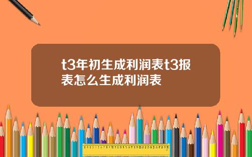 t3年初生成利润表t3报表怎么生成利润表