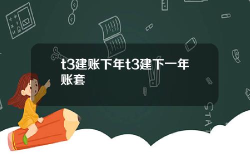 t3建账下年t3建下一年账套