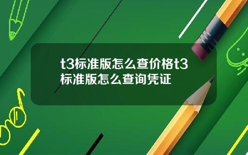t3标准版怎么查价格t3标准版怎么查询凭证