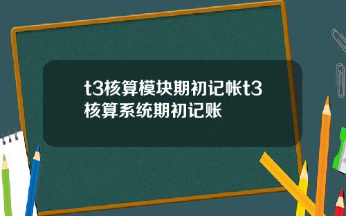 t3核算模块期初记帐t3核算系统期初记账