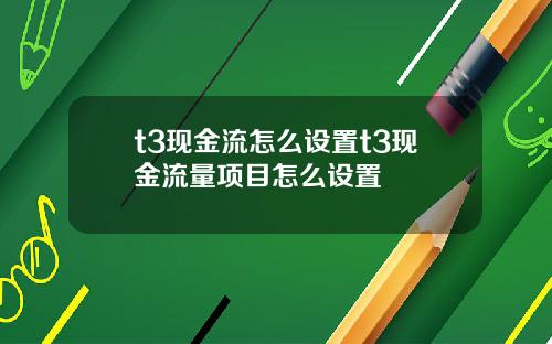 t3现金流怎么设置t3现金流量项目怎么设置