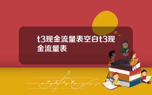 t3现金流量表空白t3现金流量表