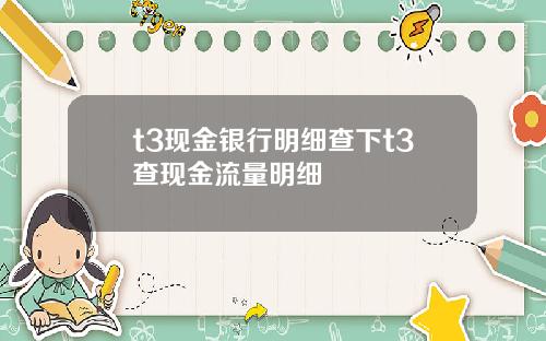 t3现金银行明细查下t3查现金流量明细