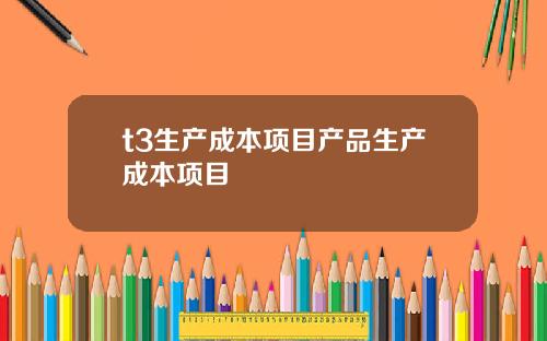 t3生产成本项目产品生产成本项目