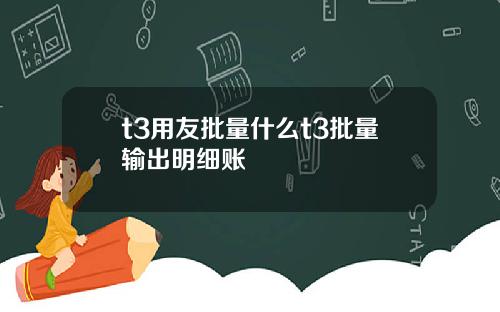 t3用友批量什么t3批量输出明细账