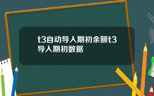 t3自动导入期初余额t3导入期初数据