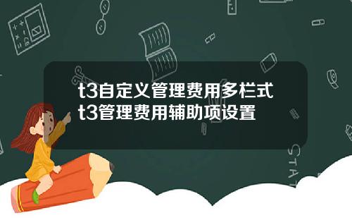 t3自定义管理费用多栏式t3管理费用辅助项设置