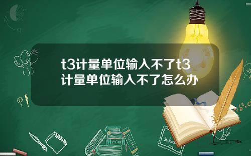 t3计量单位输入不了t3计量单位输入不了怎么办