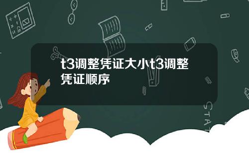t3调整凭证大小t3调整凭证顺序