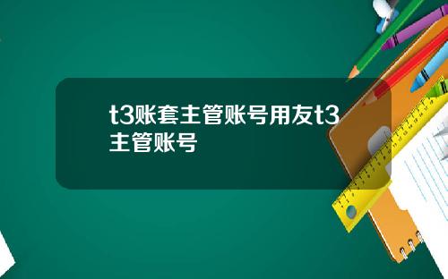t3账套主管账号用友t3主管账号