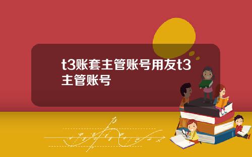 t3账套主管账号用友t3主管账号