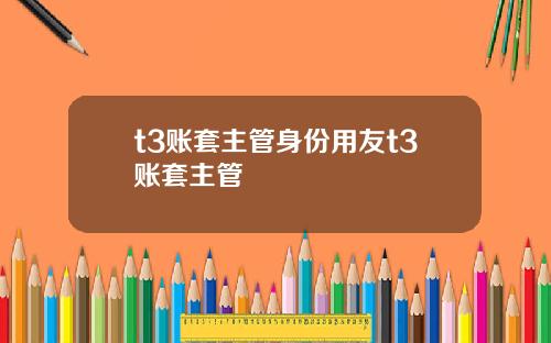 t3账套主管身份用友t3账套主管
