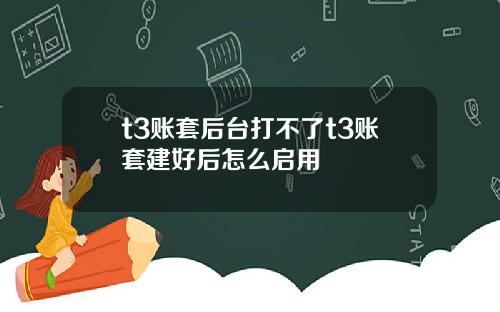 t3账套后台打不了t3账套建好后怎么启用