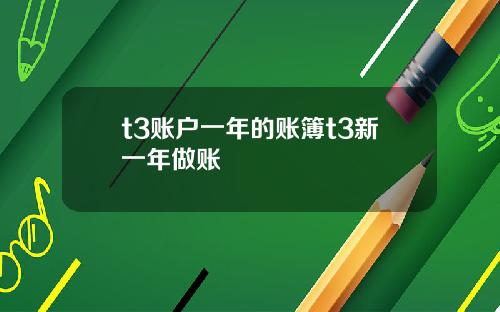 t3账户一年的账簿t3新一年做账