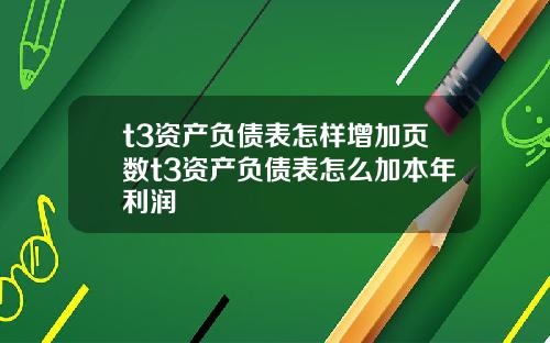 t3资产负债表怎样增加页数t3资产负债表怎么加本年利润