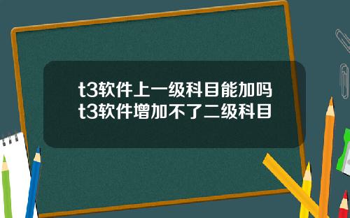t3软件上一级科目能加吗t3软件增加不了二级科目