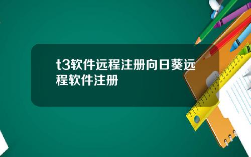 t3软件远程注册向日葵远程软件注册